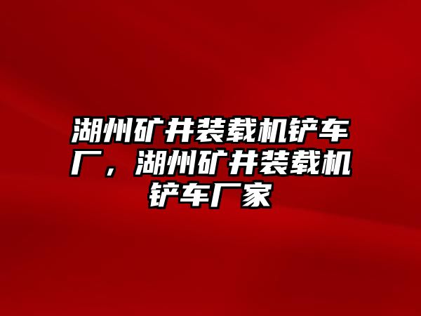 湖州礦井裝載機鏟車廠，湖州礦井裝載機鏟車廠家