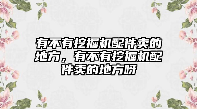 有不有挖掘機配件賣的地方，有不有挖掘機配件賣的地方呀