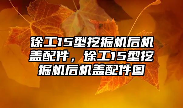 徐工15型挖掘機后機蓋配件，徐工15型挖掘機后機蓋配件圖