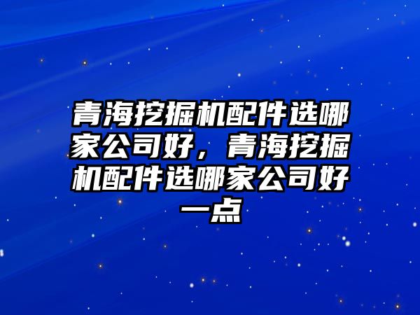 青海挖掘機配件選哪家公司好，青海挖掘機配件選哪家公司好一點