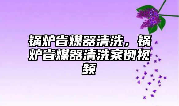 鍋爐省煤器清洗，鍋爐省煤器清洗案例視頻