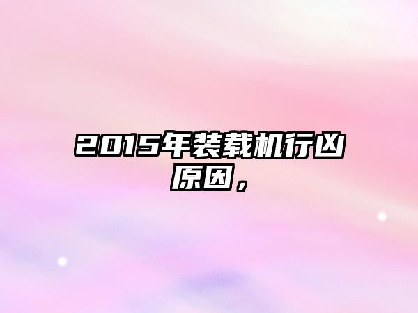 2015年裝載機行兇原因，