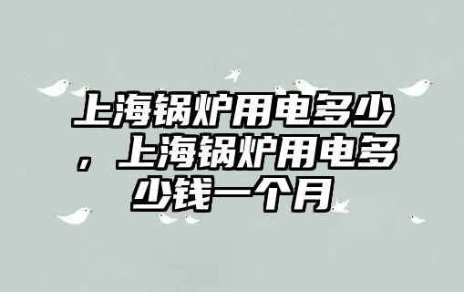 上海鍋爐用電多少，上海鍋爐用電多少錢一個(gè)月