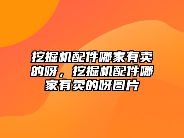 挖掘機(jī)配件哪家有賣的呀，挖掘機(jī)配件哪家有賣的呀圖片