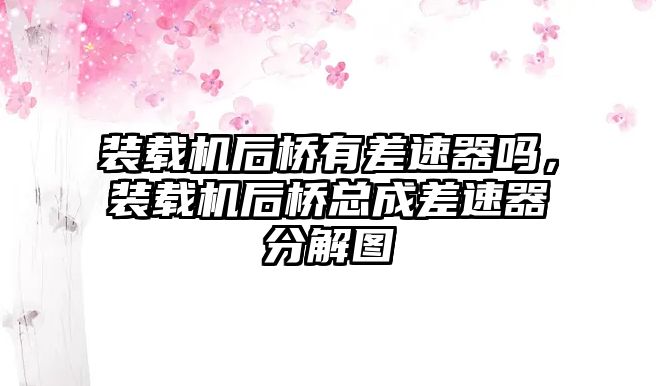 裝載機(jī)后橋有差速器嗎，裝載機(jī)后橋總成差速器分解圖