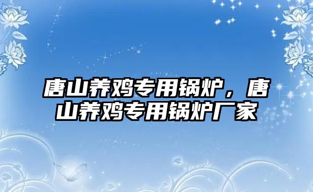 唐山養(yǎng)雞專用鍋爐，唐山養(yǎng)雞專用鍋爐廠家