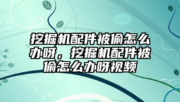 挖掘機(jī)配件被偷怎么辦呀，挖掘機(jī)配件被偷怎么辦呀視頻