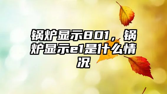 鍋爐顯示801，鍋爐顯示e1是什么情況