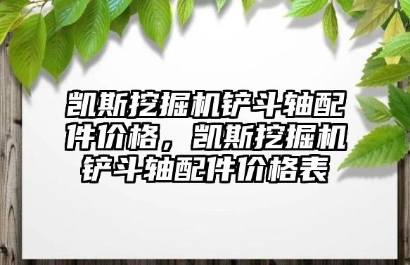 凱斯挖掘機鏟斗軸配件價格，凱斯挖掘機鏟斗軸配件價格表