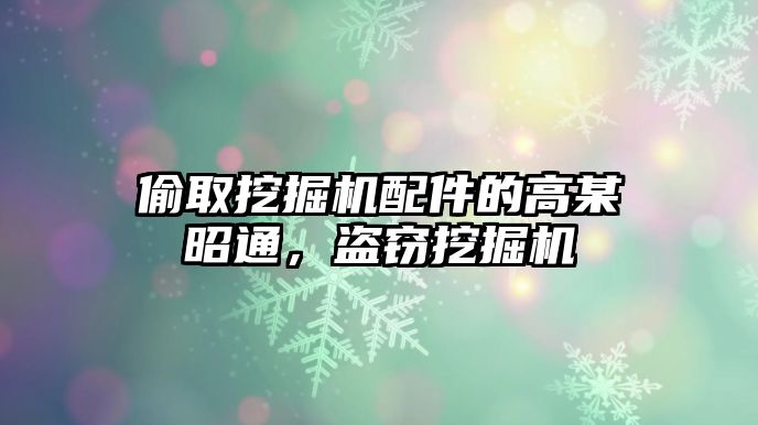 偷取挖掘機配件的高某昭通，盜竊挖掘機