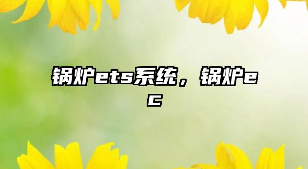 鍋爐ets系統(tǒng)，鍋爐ec