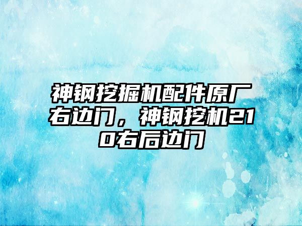 神鋼挖掘機(jī)配件原廠右邊門，神鋼挖機(jī)210右后邊門