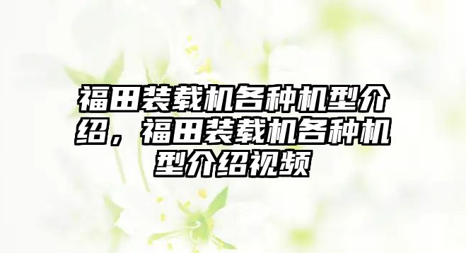 福田裝載機(jī)各種機(jī)型介紹，福田裝載機(jī)各種機(jī)型介紹視頻