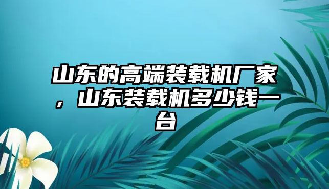 山東的高端裝載機廠家，山東裝載機多少錢一臺