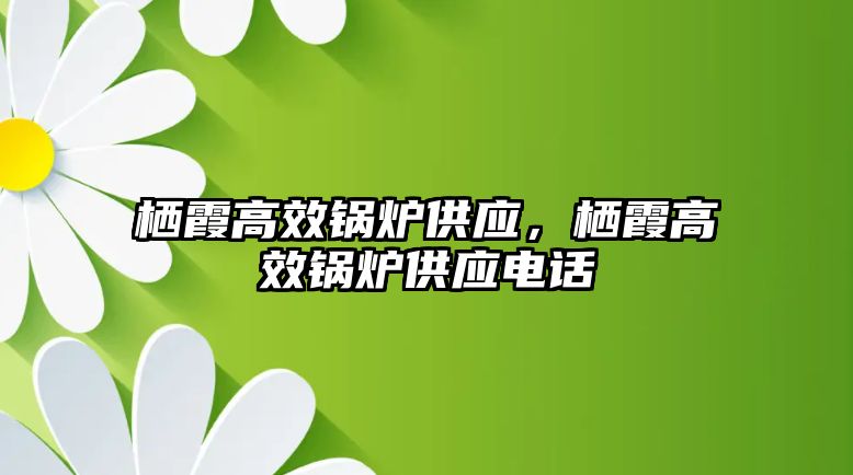 棲霞高效鍋爐供應(yīng)，棲霞高效鍋爐供應(yīng)電話