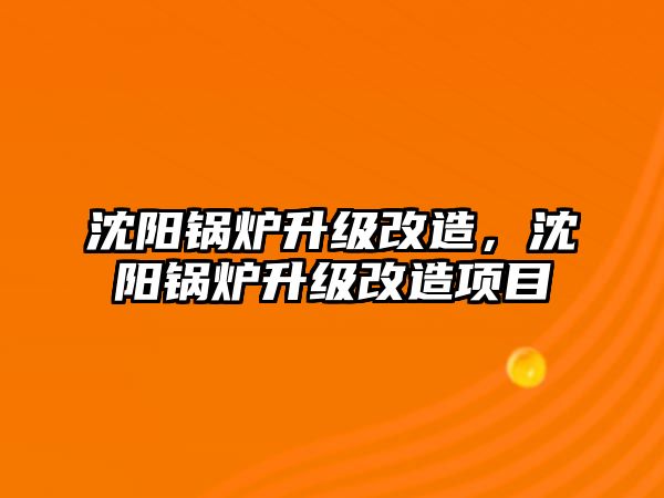 沈陽鍋爐升級改造，沈陽鍋爐升級改造項目