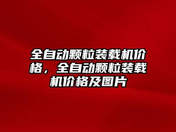 全自動顆粒裝載機價格，全自動顆粒裝載機價格及圖片