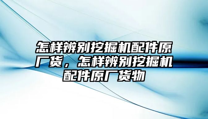 怎樣辨別挖掘機配件原廠貨，怎樣辨別挖掘機配件原廠貨物