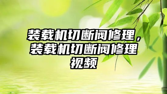 裝載機切斷閥修理，裝載機切斷閥修理視頻