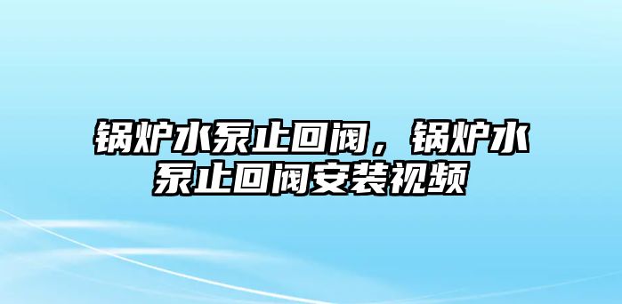 鍋爐水泵止回閥，鍋爐水泵止回閥安裝視頻