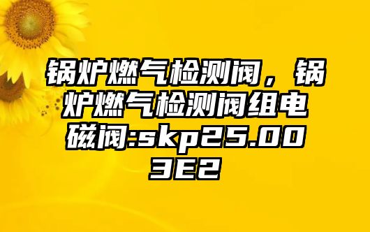 鍋爐燃氣檢測閥，鍋爐燃氣檢測閥組電磁閥:skp25.003E2