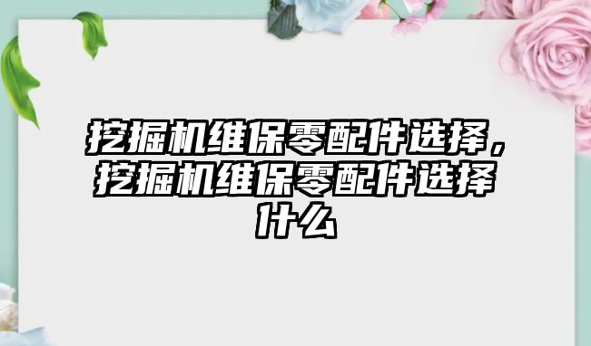 挖掘機(jī)維保零配件選擇，挖掘機(jī)維保零配件選擇什么