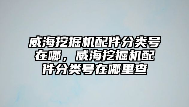 威海挖掘機配件分類號在哪，威海挖掘機配件分類號在哪里查