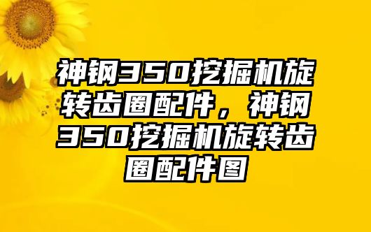 神鋼350挖掘機(jī)旋轉(zhuǎn)齒圈配件，神鋼350挖掘機(jī)旋轉(zhuǎn)齒圈配件圖