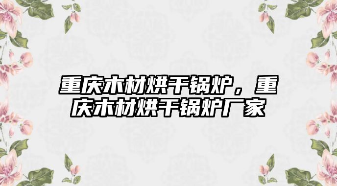 重慶木材烘干鍋爐，重慶木材烘干鍋爐廠家