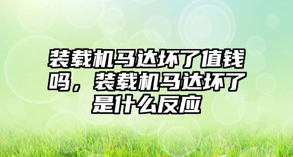 裝載機(jī)馬達(dá)壞了值錢嗎，裝載機(jī)馬達(dá)壞了是什么反應(yīng)