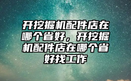 開挖掘機(jī)配件店在哪個(gè)省好，開挖掘機(jī)配件店在哪個(gè)省好找工作