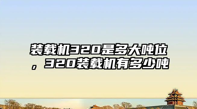 裝載機320是多大噸位，320裝載機有多少噸