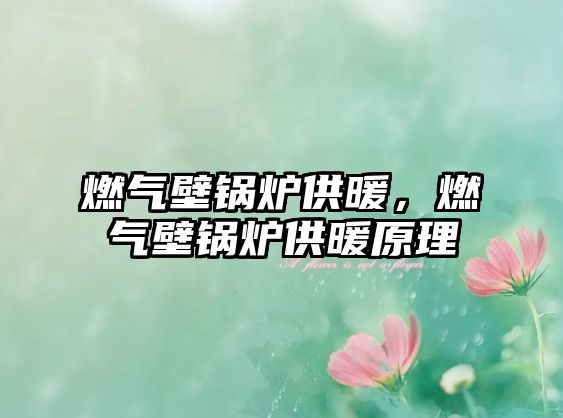 燃?xì)獗阱仩t供暖，燃?xì)獗阱仩t供暖原理