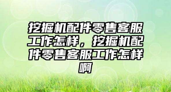 挖掘機配件零售客服工作怎樣，挖掘機配件零售客服工作怎樣啊