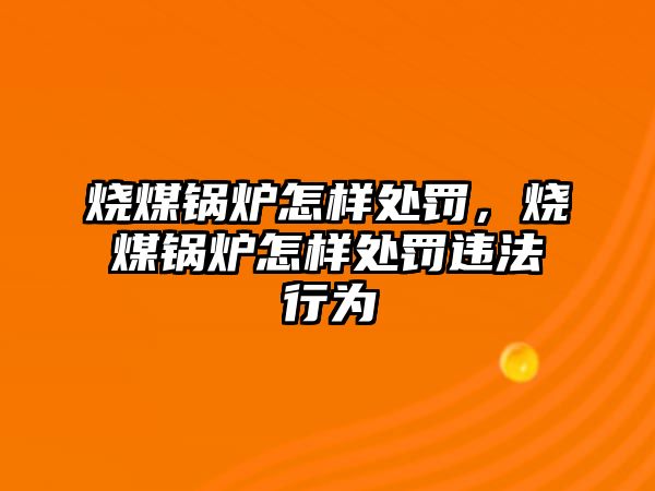 燒煤鍋爐怎樣處罰，燒煤鍋爐怎樣處罰違法行為