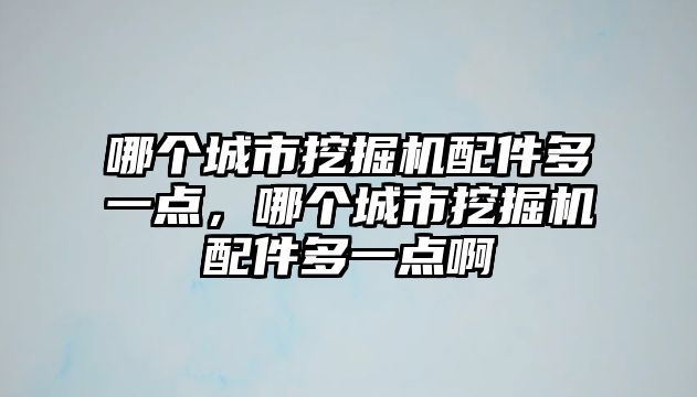 哪個城市挖掘機配件多一點，哪個城市挖掘機配件多一點啊