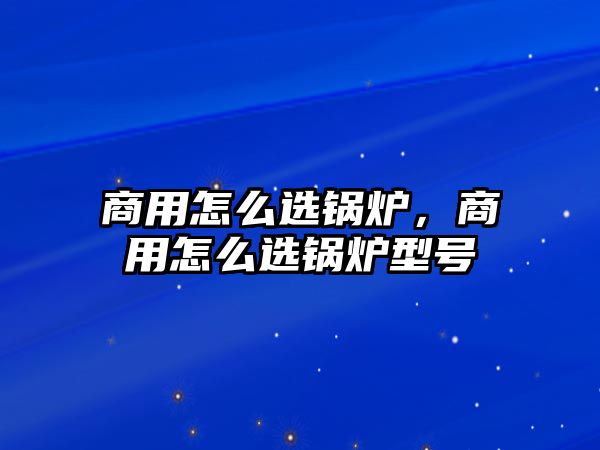 商用怎么選鍋爐，商用怎么選鍋爐型號(hào)