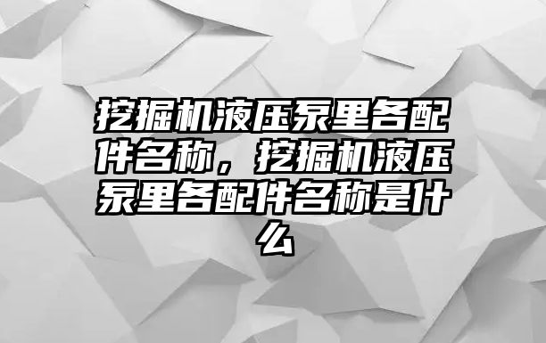 挖掘機(jī)液壓泵里各配件名稱，挖掘機(jī)液壓泵里各配件名稱是什么