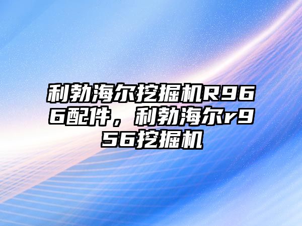 利勃海爾挖掘機(jī)R966配件，利勃海爾r956挖掘機(jī)