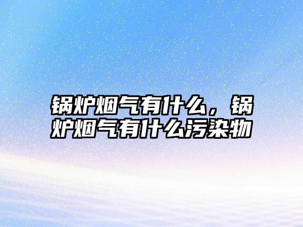 鍋爐煙氣有什么，鍋爐煙氣有什么污染物