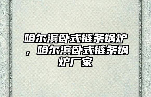 哈爾濱臥式鏈條鍋爐，哈爾濱臥式鏈條鍋爐廠家