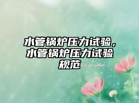 水管鍋爐壓力試驗，水管鍋爐壓力試驗規(guī)范