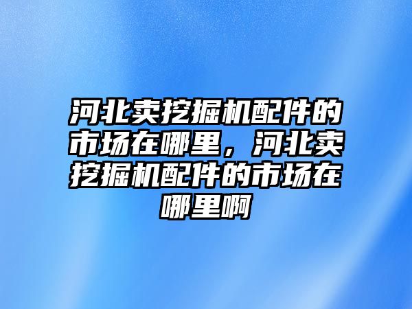 河北賣挖掘機(jī)配件的市場(chǎng)在哪里，河北賣挖掘機(jī)配件的市場(chǎng)在哪里啊