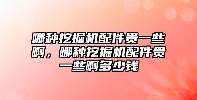 哪種挖掘機(jī)配件貴一些啊，哪種挖掘機(jī)配件貴一些啊多少錢