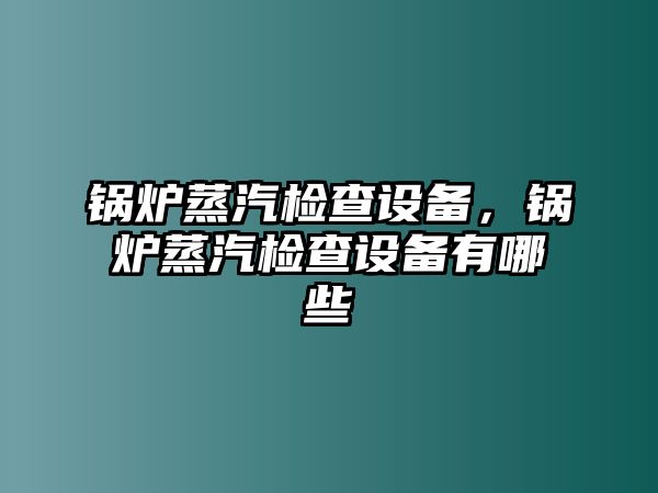 鍋爐蒸汽檢查設(shè)備，鍋爐蒸汽檢查設(shè)備有哪些