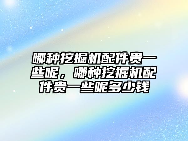 哪種挖掘機(jī)配件貴一些呢，哪種挖掘機(jī)配件貴一些呢多少錢(qián)