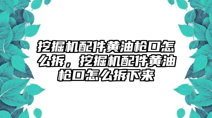 挖掘機配件黃油槍口怎么拆，挖掘機配件黃油槍口怎么拆下來