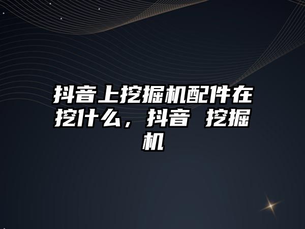 抖音上挖掘機配件在挖什么，抖音 挖掘機