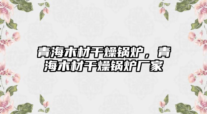 青海木材干燥鍋爐，青海木材干燥鍋爐廠家