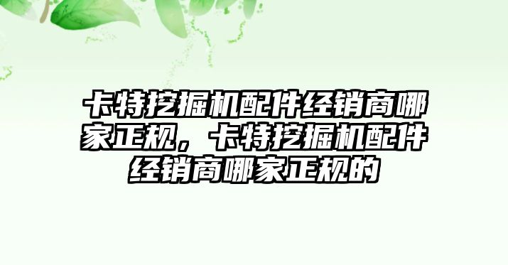 卡特挖掘機配件經(jīng)銷商哪家正規(guī)，卡特挖掘機配件經(jīng)銷商哪家正規(guī)的